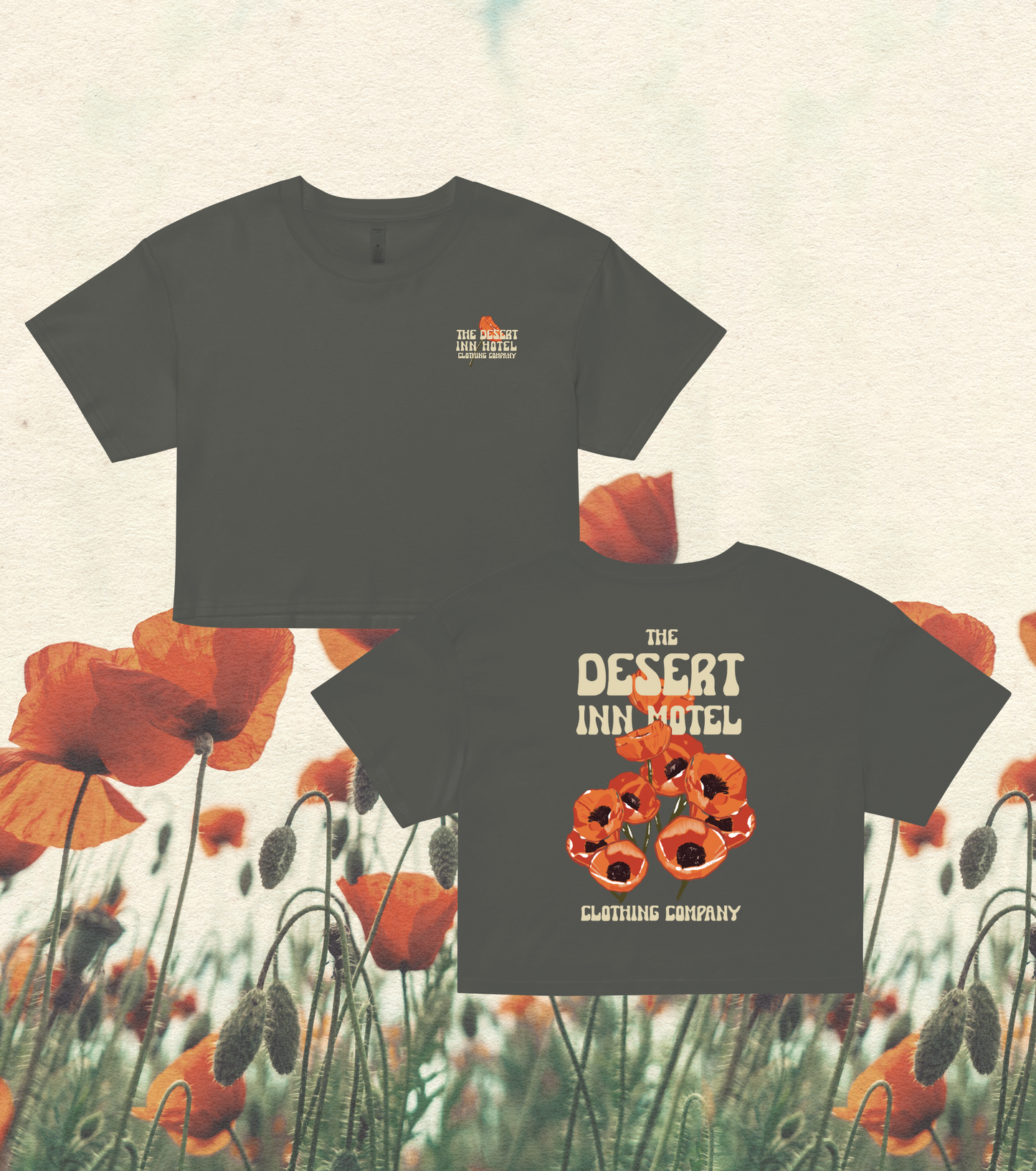 Desert Poppy